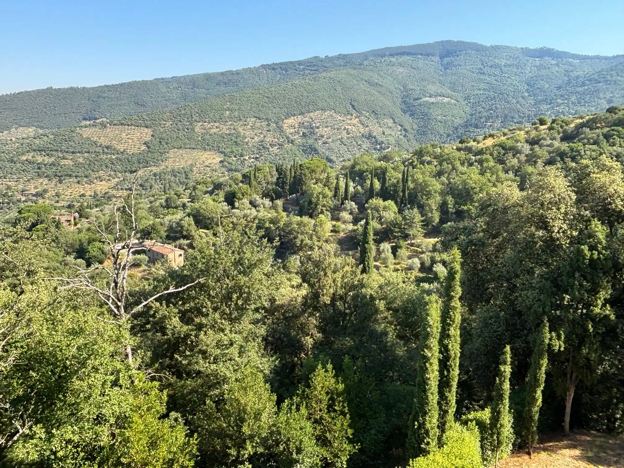 Villa Il Bacchino
