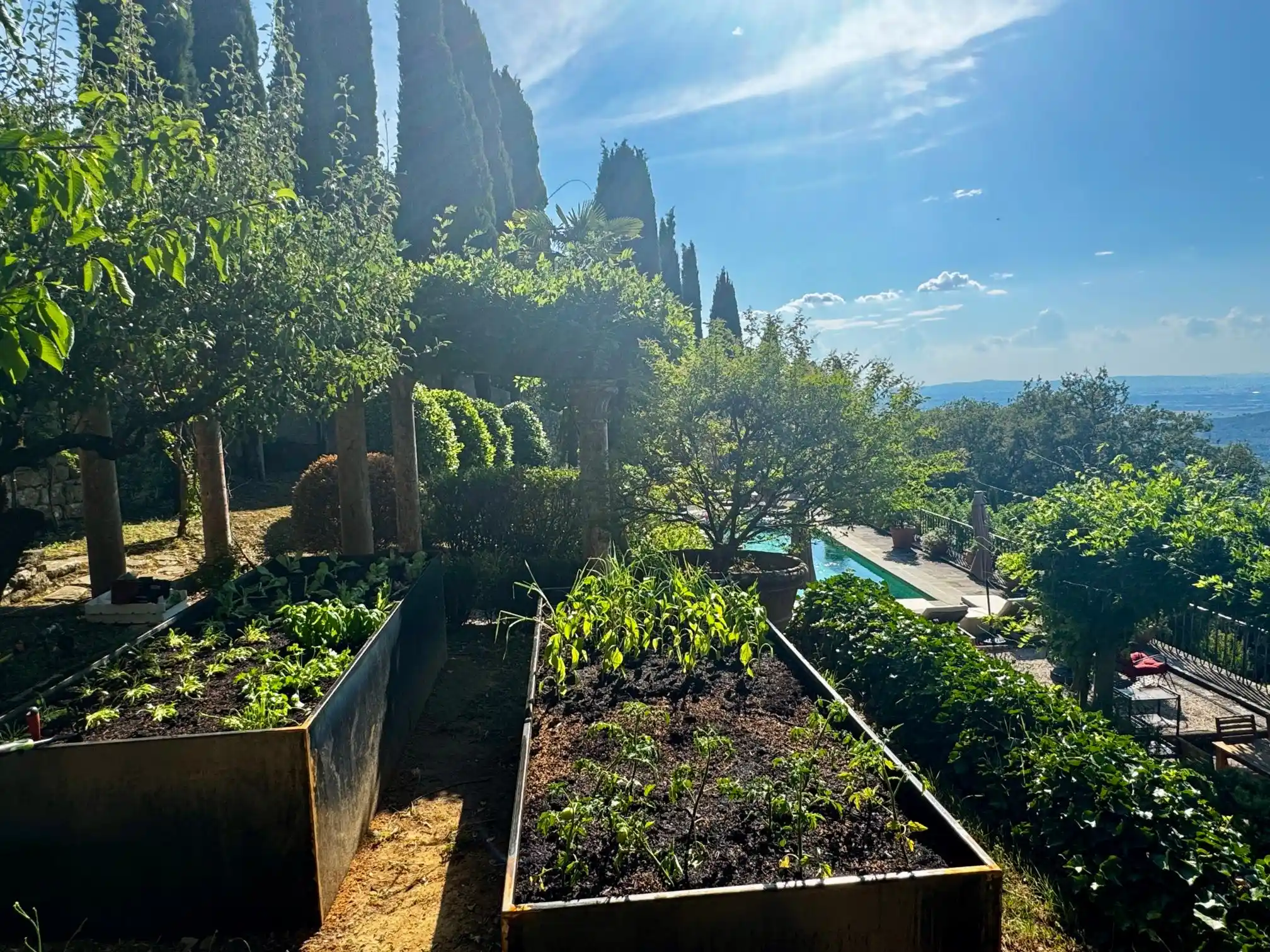 Villa Il Bacchino